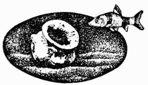 Жак-Ив Кусто, Ив Паккале и др. - В поисках Атлантиды