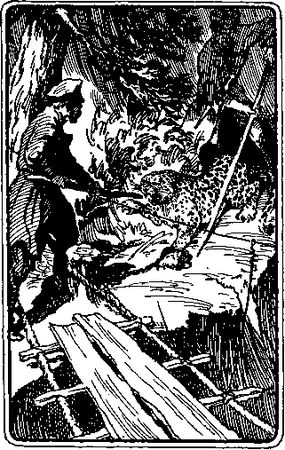 Вячеслав Пальман - По следам дикого зубра