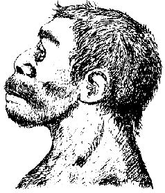 Наталья Гусева - Русский Север - прародина индославов