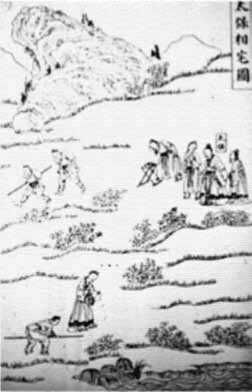 Арнольд Минделл - Процессуальный ум. Руководство по установлению связи с Умом Бога