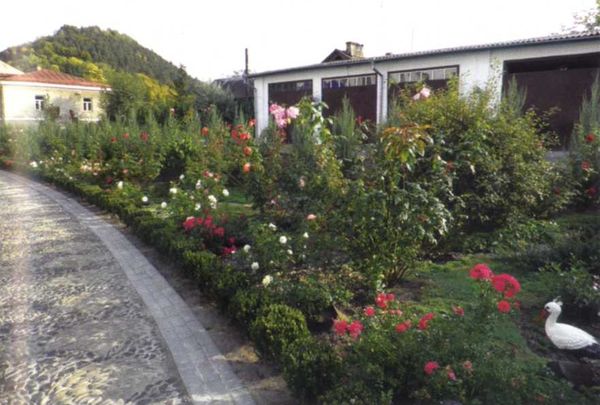 Борис Бублик, Виталий Гридчин - Умный огород круглый год