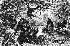 Наталья Гусева - Русский Север - прародина индославов