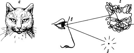 Александр Коган - Основы физиологии высшей нервной деятельности