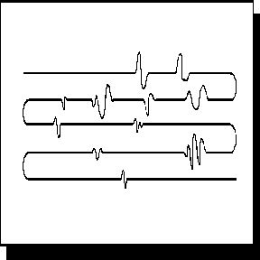 Том Вуджек - Тренировка ума