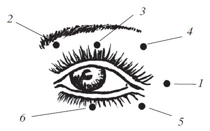 О. Мартин - Энциклопедия массажа