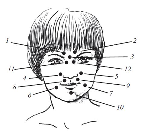 О. Мартин - Энциклопедия массажа
