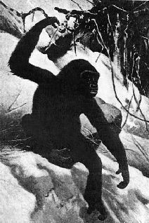 Наталья Гусева - Русский Север - прародина индославов