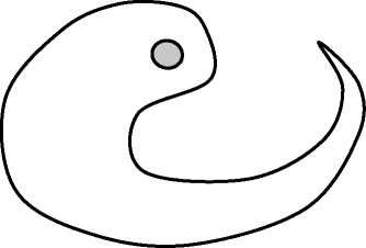 Арнольд Минделл - Процессуальный ум. Руководство по установлению связи с Умом Бога