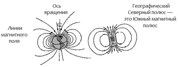 Арнольд Минделл - Процессуальный ум. Руководство по установлению связи с Умом Бога