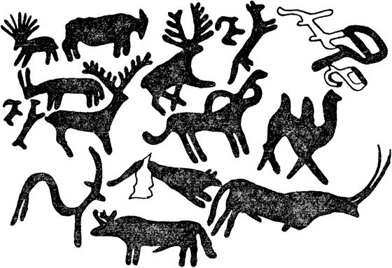 Павел Мариковский - Забытые острова