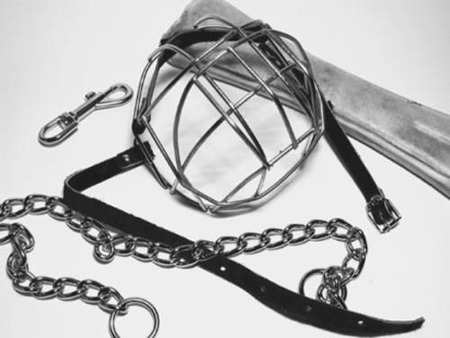 Светлана Ермакова - Среднеазиатская овчарка