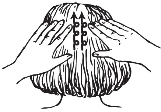 О. Мартин - Энциклопедия массажа