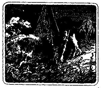 Вячеслав Пальман - По следам дикого зубра