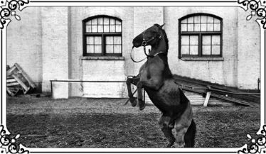 Николай Ходаковский - Коронованный на кресте