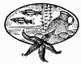 Жак-Ив Кусто, Ив Паккале и др. - В поисках Атлантиды