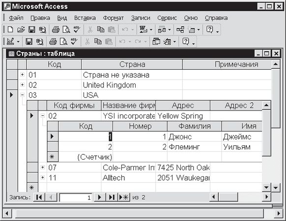 Павел Дубнов - Access 2002: Самоучитель