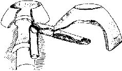 Русский Север - прародина индославов
