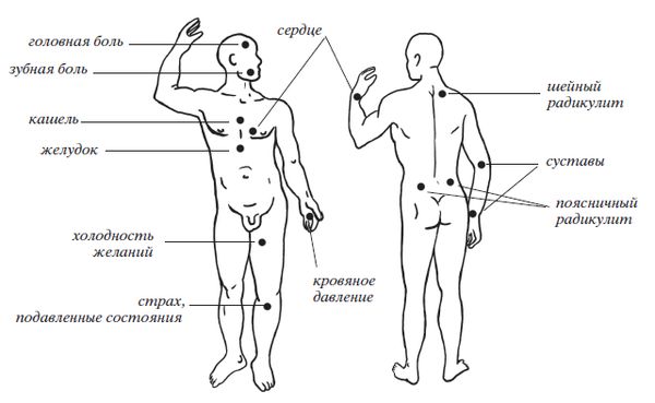 О. Мартин - Энциклопедия массажа