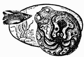 Жак-Ив Кусто, Ив Паккале и др. - В поисках Атлантиды