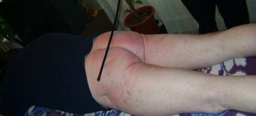 И. Бондарь - Барышни и крестьянки