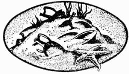 В поисках Атлантиды