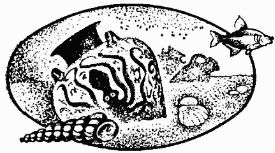 Жак-Ив Кусто, Ив Паккале и др. - В поисках Атлантиды