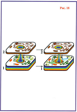 Николай Левашов - Последнее обращение к человечеству