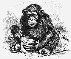 Наталья Гусева - Русский Север - прародина индославов