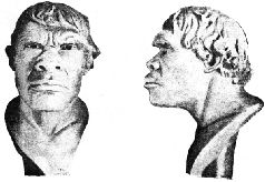 Наталья Гусева - Русский Север - прародина индославов