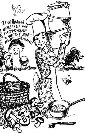 Иоанна Хмелевская - Книга про еду [Моя поваренная книга]