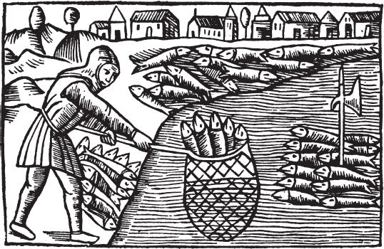 Гвин Джонс - Викинги. Потомки Одина и Тора