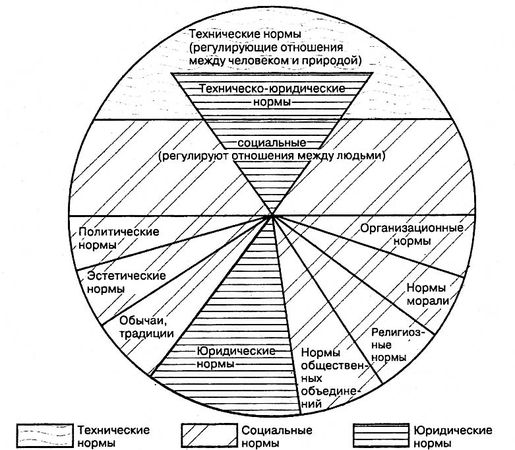 Коллектив авторов - Общая теория права и государства: Учебник