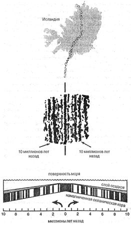 Дж. Д. Макдугалл - Краткая история планеты Земля: горы, животные, огонь и лед
