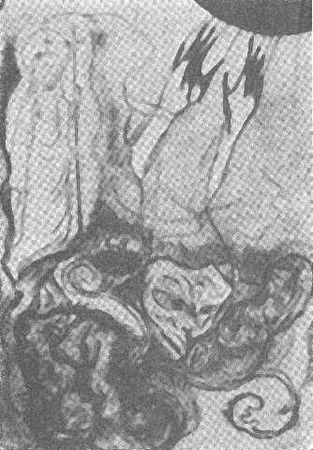 Станислав Гроф - Области человеческого бессознательного: данные исследований ЛСД