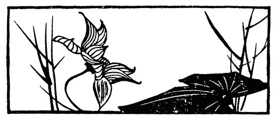 без автора - Проделки Праздного Дракона: Двадцать пять повестей XVI-XVII веков