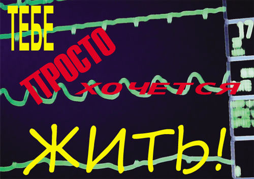 Дмитрий Стародубцев - Продавец мечты. Книга первая