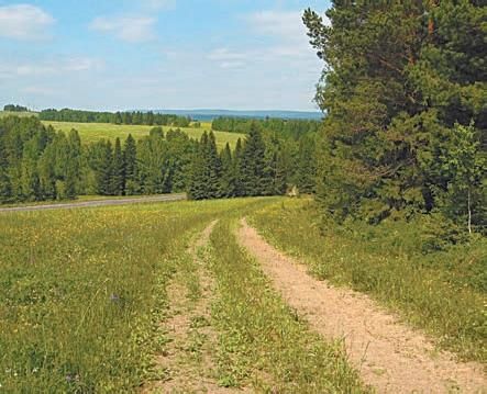 Алексей Громаковский - Самоучитель безопасного вождения. Чему не учат в автошколах