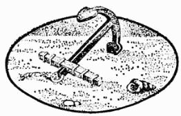 Жак-Ив Кусто, Ив Паккале и др. - В поисках Атлантиды