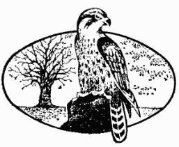 Жак-Ив Кусто, Ив Паккале и др. - В поисках Атлантиды