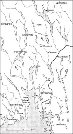 Гвин Джонс - Викинги. Потомки Одина и Тора