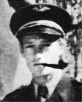 Сергей Дыбов - Подлинная история авиаполка "Нормандия - Неман"