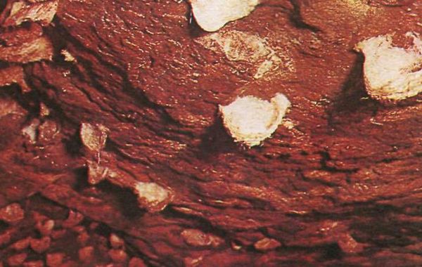 Мишель Сифр - В безднах Земли