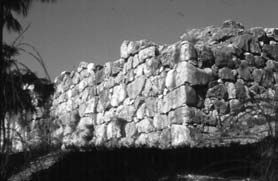 Андрей Савельев - Настоящая Спарта. Без домыслов и наветов