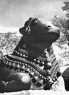 Наталья Гусева - Русский Север - прародина индославов