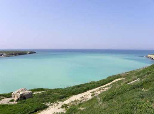 Владимир Бойко - История бухты Голландия в Севастополе