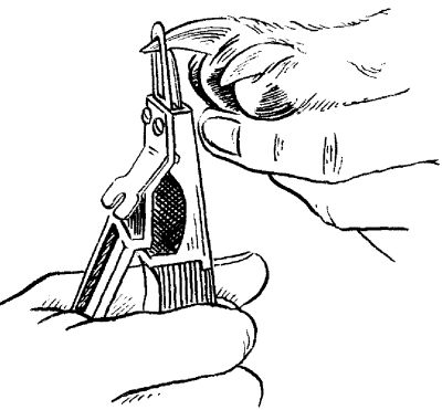 Светлана Ермакова - Среднеазиатская овчарка