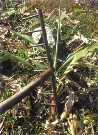 Борис Бублик, Виталий Гридчин - Умный огород круглый год