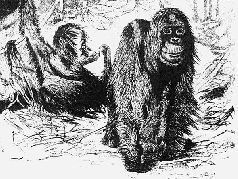 Наталья Гусева - Русский Север - прародина индославов