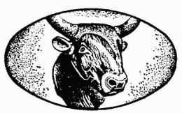 Жак-Ив Кусто, Ив Паккале и др. - В поисках Атлантиды