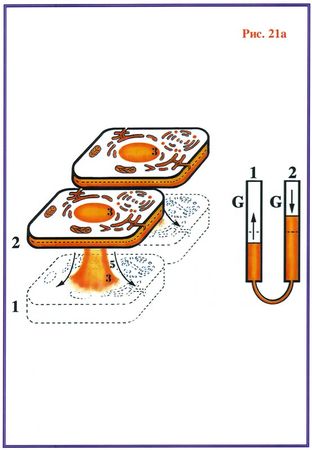 Николай Левашов - Последнее обращение к человечеству
